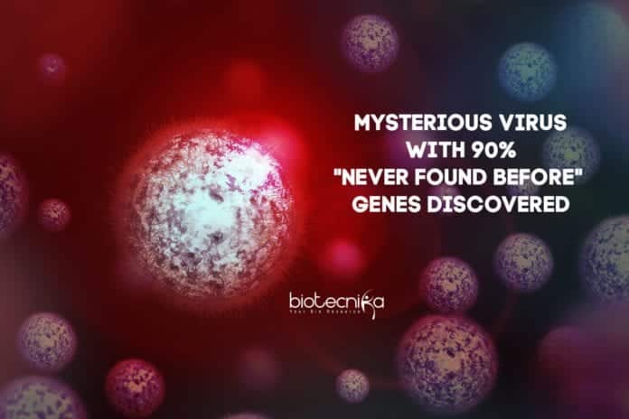 new-virus-with-no-recognizable-genes