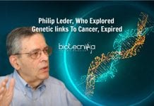 Philip Leder – Scientist Behind Discovery Of Cancer Causing Genes Expired philip leder's contributions to science