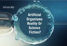 Artificial Organisms – Soon To Be Real Or Just A Science Fiction? developing artificial organisms