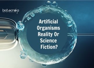 Artificial Organisms – Soon To Be Real Or Just A Science Fiction? developing artificial organisms