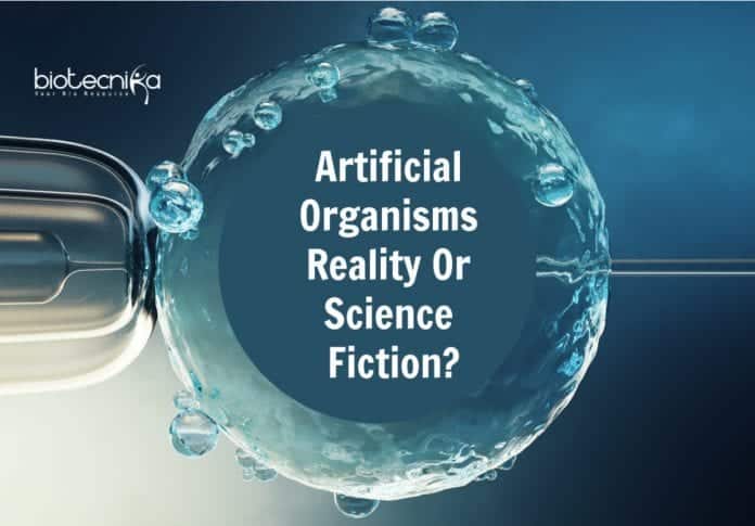 developing artificial organisms