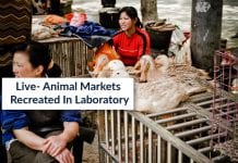 Live-Animal Markets Created In Lab To Study Virus Transmission virus transmission in artificial ecosystem