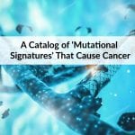 list of mutations that cause cancer