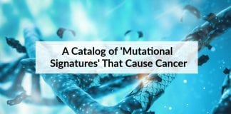 list of mutations that cause cancer