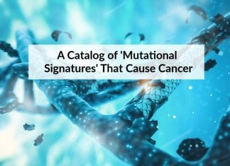 list of mutations that cause cancer