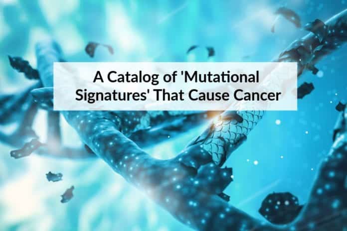 list of mutations that cause cancer
