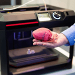 Functional Replica of Human Organs