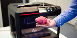 Functional Replica of Human Organs