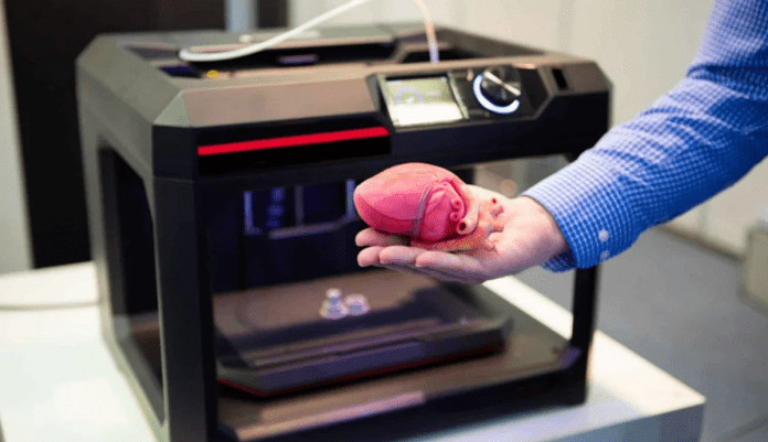 Functional Replica of Human Organs