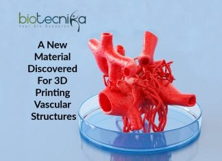 New Biomaterial For 3D Printing Vascular Structures Discovered 3D printing of vascular structures