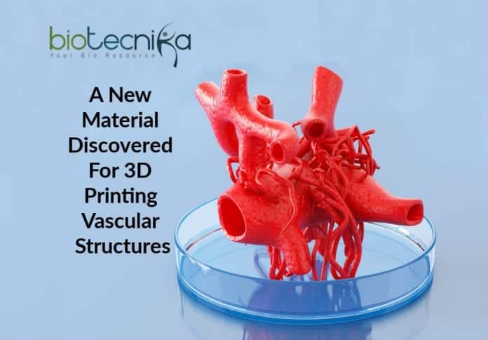 3D printing of vascular structures