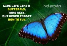 Biotecnika Times – Newsletter 27.03.2020 – Coronavirus Separate Indian Strain? THSTI & NIMBG