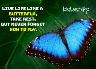 Biotecnika Times – Newsletter 27.03.2020 – Coronavirus Separate Indian Strain? THSTI & NIMBG