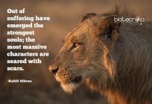 Biotecnika Times – Newsletter 09.03.2020 – Google PhD Fellowship, Govt Pollution Control Board