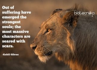 Biotecnika Times – Newsletter 09.03.2020 – Google PhD Fellowship, Govt Pollution Control Board