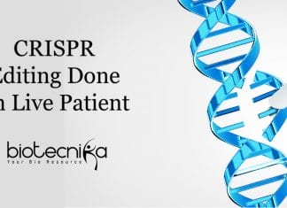 For First Time Ever CRISPR Editing Done In Live Patient First direct use of CRISPR in Humans