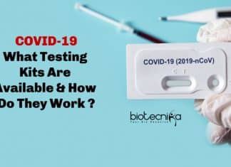 COVID-19: What Testing Kits Are Available & How Do They Work ? How COVID-19 Testing Kits Work