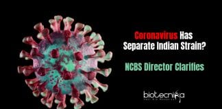 Different Strain of Coronavirus in India