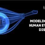 Human Eye Model