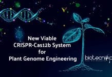 New Viable CRISPR-Cas12b System for Plant Genome Engineering By UMD Researcher CRISPR-Cas12b for Plant Genome Engineering