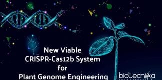 CRISPR-Cas12b for Plant Genome Engineering