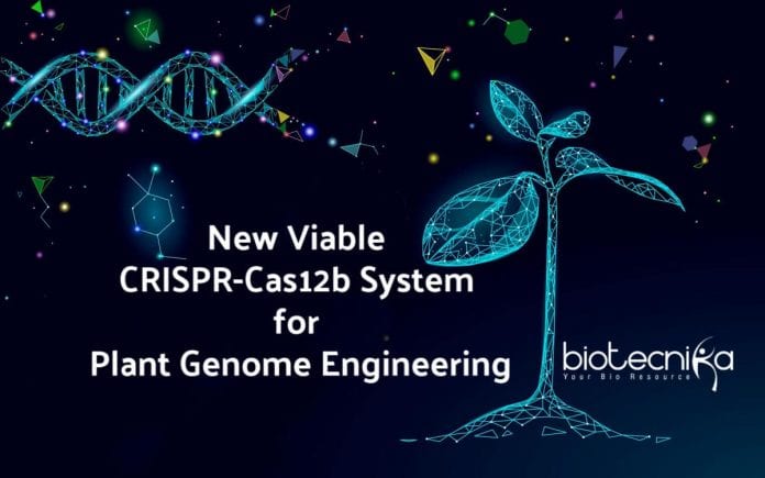 CRISPR-Cas12b for Plant Genome Engineering