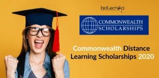 Commonwealth Distance Learning Scholarships