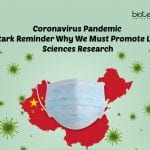 Coronavirus outbreak