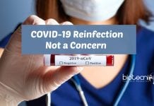 COVID-19 Reinfection Not a Concern, Monkey Study Suggests Coronavirus Reinfection