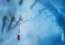 Coronavirus Stable On Surfaces For Hours Coronavirus Stable On Surfaces For Hours