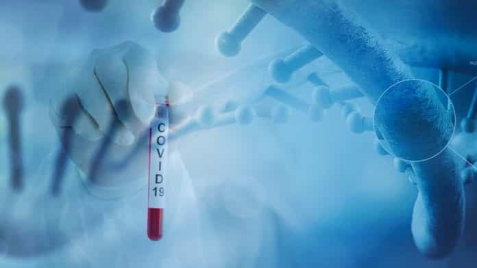 Coronavirus Stable On Surfaces For Hours