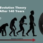 Darwin's evolution theory