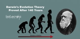 Darwin's evolution theory