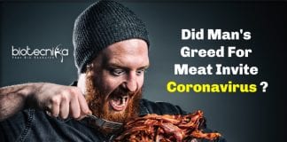 meat consumption and coronavirus