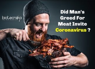 Did Man’s Greed For Meat Invite Coronavirus COVID-19 ? meat consumption and coronavirus