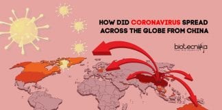 How did Coronavirus Spread from China