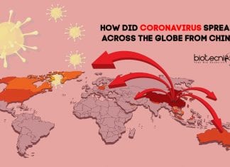 How COVID-19 Spread Across The World From China? How did Coronavirus Spread from China