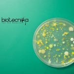 Kerry Quality Specialist Job – Life Science & Microbiology Apply Kerry Quality Specialist Job