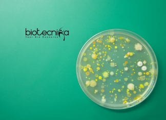 Kerry Quality Specialist Job – Life Science & Microbiology Apply Kerry Quality Specialist Job