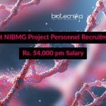 NIBMG Job Openings