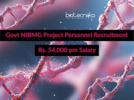 NIBMG Job Openings