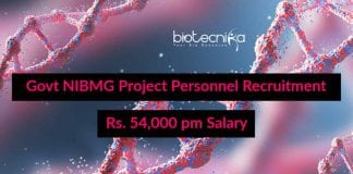 NIBMG Job Openings
