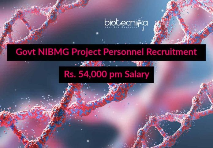 NIBMG Job Openings