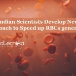 New Approach to Speed up RBCs generation