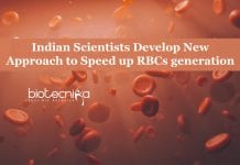 Scientists At NCCS Pune Develop New Approach to Speed up RBCs generation New Approach to Speed up RBCs generation