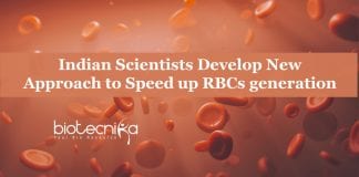 New Approach to Speed up RBCs generation