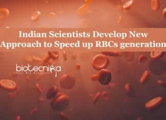 Scientists At NCCS Pune Develop New Approach to Speed up RBCs generation New Approach to Speed up RBCs generation