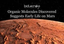 NASA’s Curiosity Rover Discovers Organic Compounds Indicating Early Life On Mars Curiosity Rover discovered thiophenes, organic molecules discovered on Mars