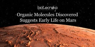 Curiosity Rover discovered thiophenes, organic molecules discovered on Mars