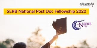 SERB-National Post Doc Fellowship